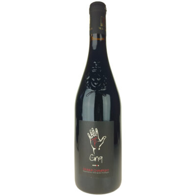 Saumur Champigny Les Cinq 2019, Domaine des Varinelles